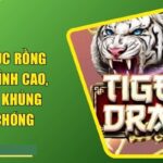 Chinh Phục Rồng Hổ Fb88 Đỉnh Cao, Rinh Quà Khủng Nhanh Chóng